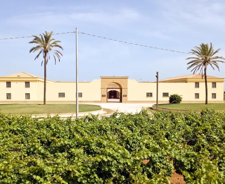 Elegant Sicilian Estate Amidst Lush Vineyards - Gorghi Tondi